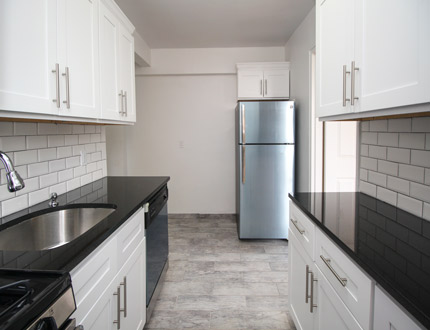  Parsons Blvd   Queens, NY 11354, MLS-RD1689-6