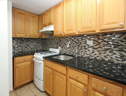 Apartment 147th Street  Queens, NY 11354, MLS-RD1964-2