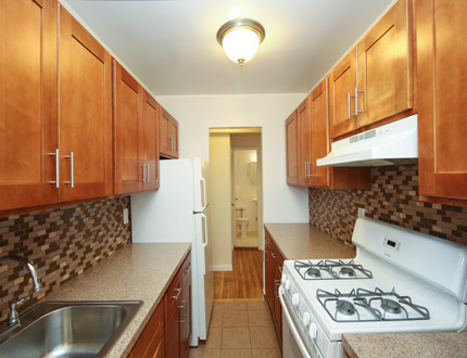 Apartment Parsons Blvd  Queens, NY 11354, MLS-RD1965-2