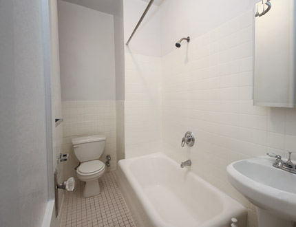 Apartment 165th Street  Queens, NY 11358, MLS-RD2004-6