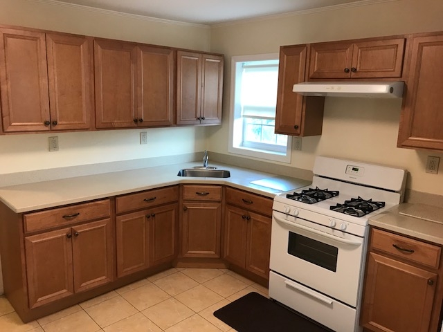 Apartment Fitchett Street  Queens, NY 11374, MLS-RD2091-10