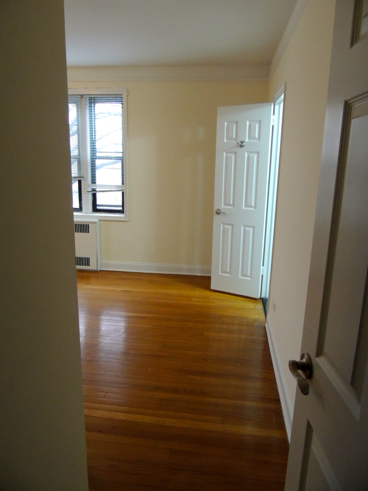 Apartment Wexford Terrace  Queens, NY 11432, MLS-RD2215-6