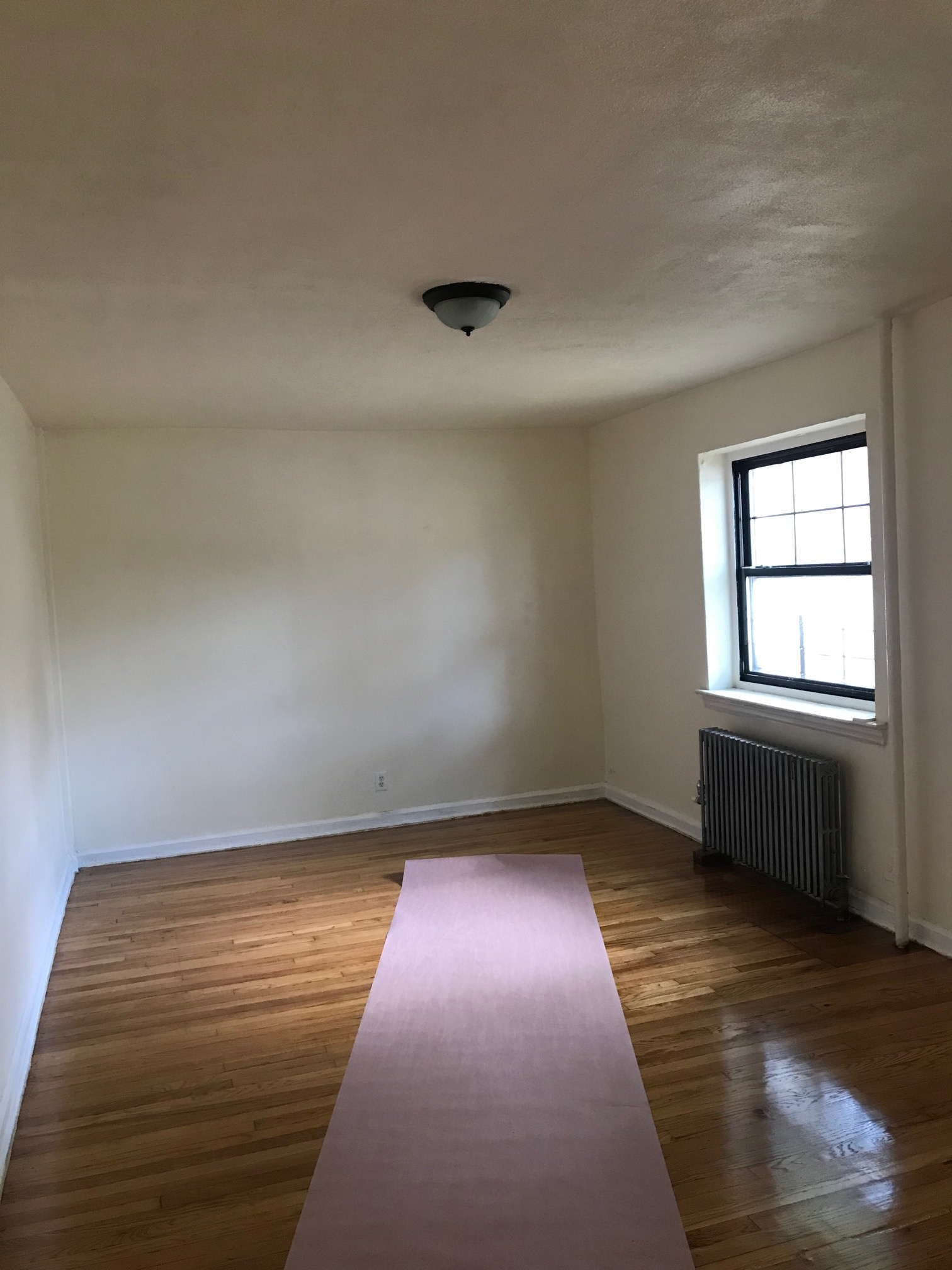 Apartment 147th Street  Queens, NY 11367, MLS-RD2411-5