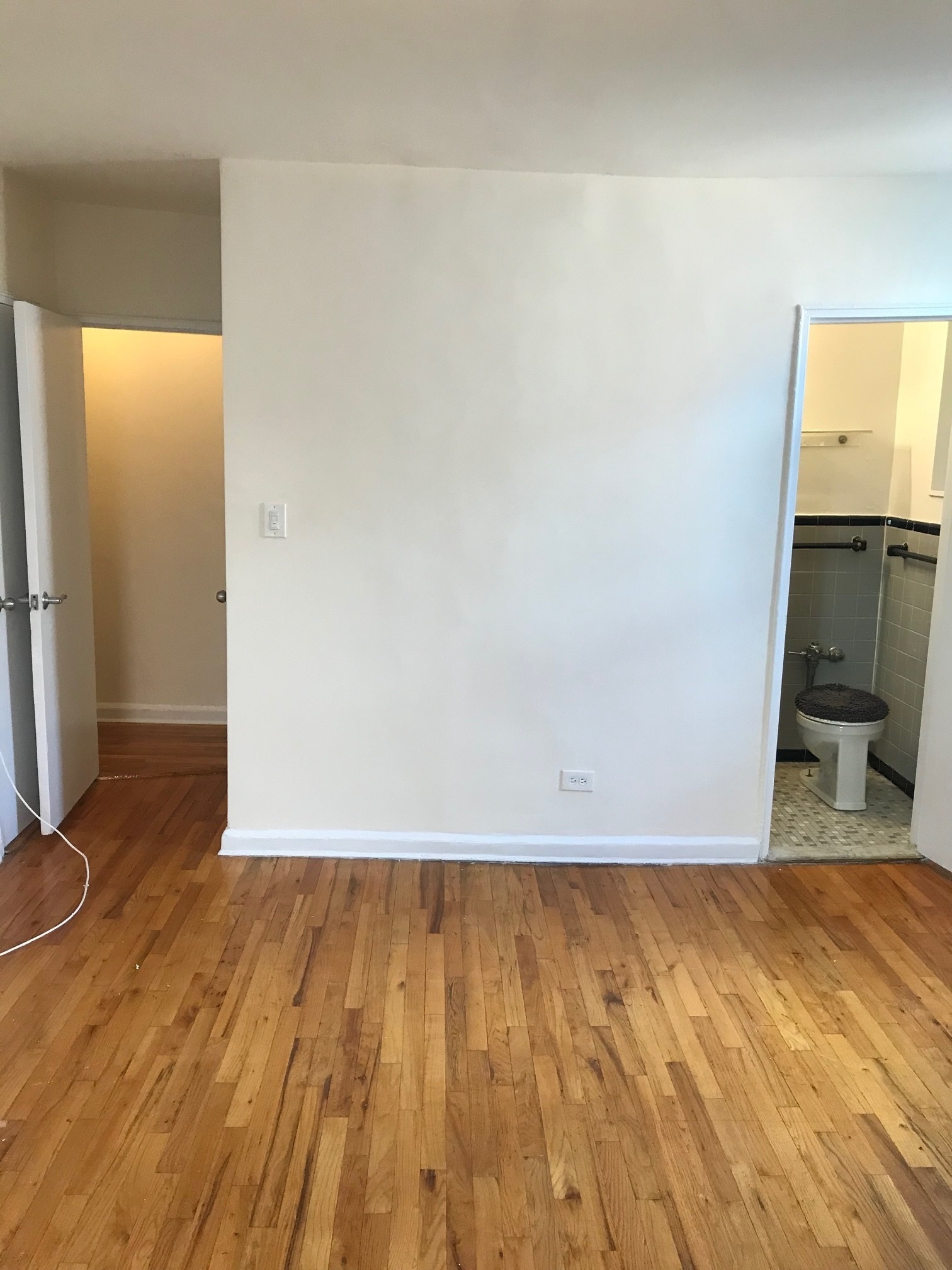 Apartment 141st Street  Queens, NY 11435, MLS-RD2644-12