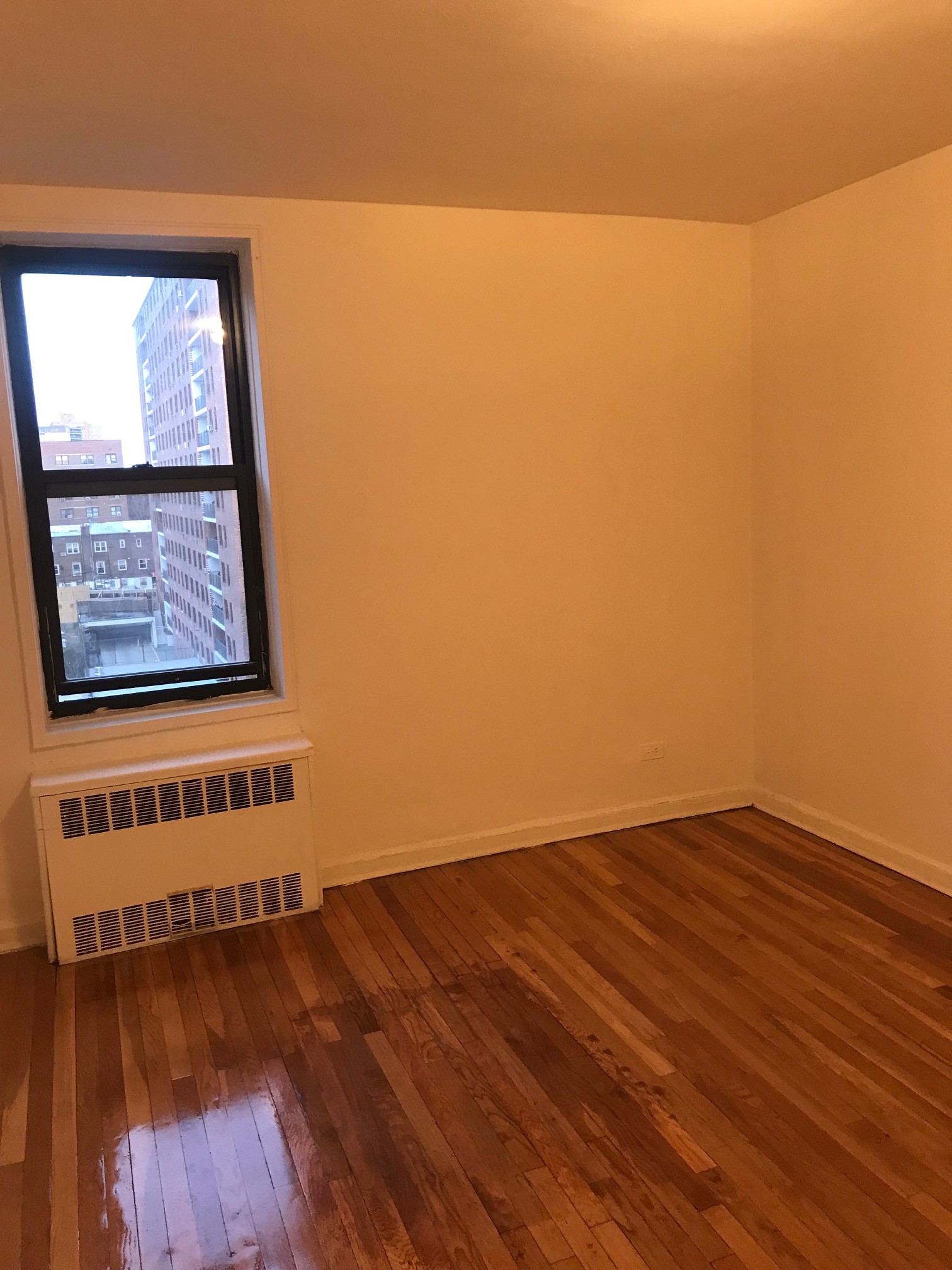 Apartment Booth Street  Queens, NY 11374, MLS-RD2810-6