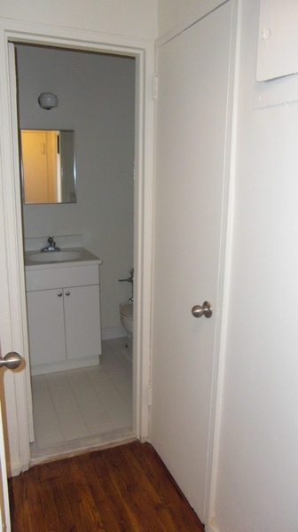 Apartment 37th Street  Queens, NY 11101, MLS-RD3042-3