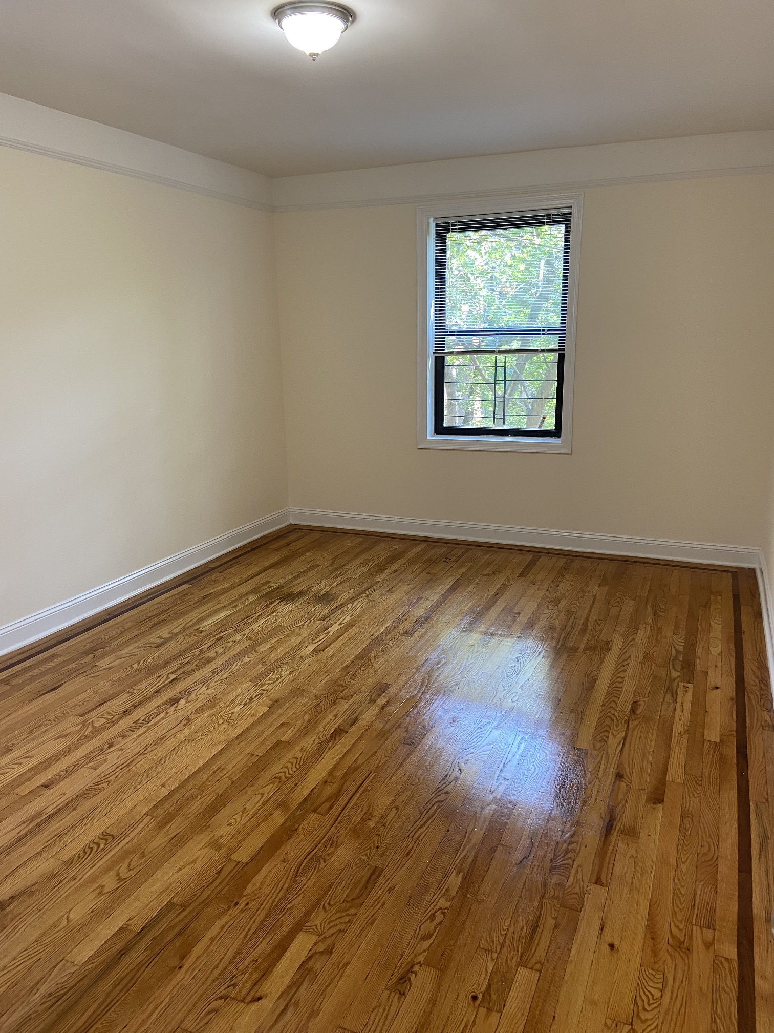 Apartment Highland Avenue  Queens, NY 11432, MLS-RD3706-7