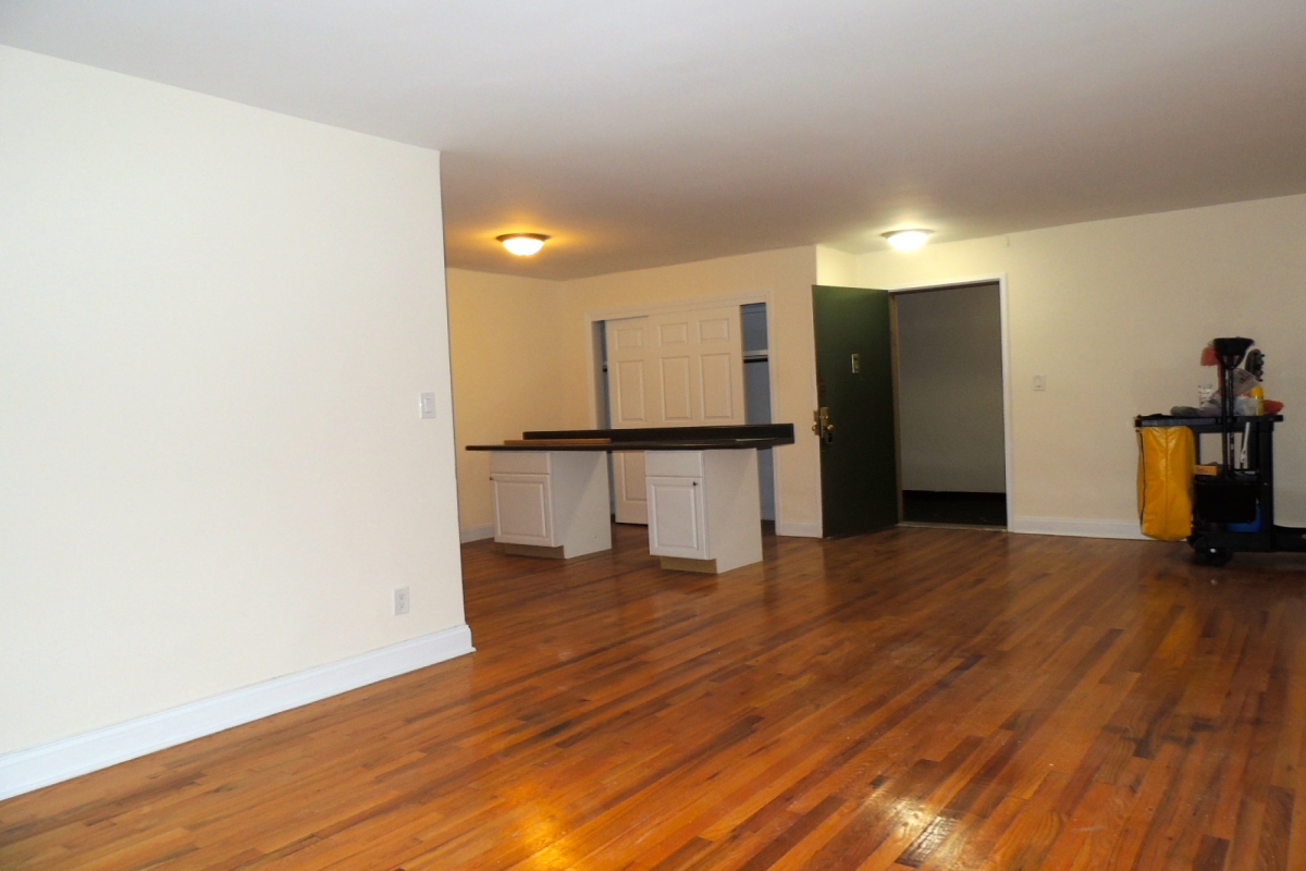 Apartment 150th Street  Queens, NY 11358, MLS-RD3712-3