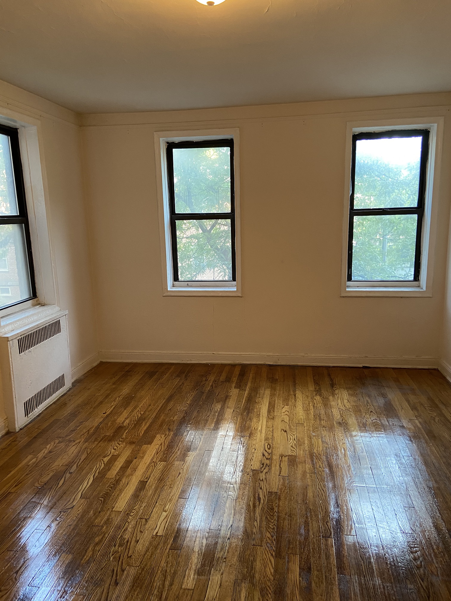 Apartment 66th Avenue  Queens, NY 11374, MLS-RD3849-2