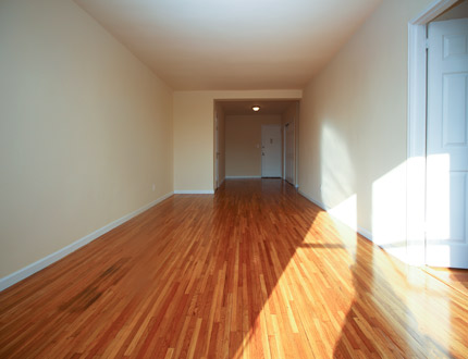 Apartment Whitney Avenue  Queens, NY 11373, MLS-RD3966-4