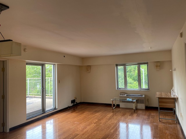 Apartment Grand Central Pkwy  Queens, NY 11375, MLS-RD4162-4