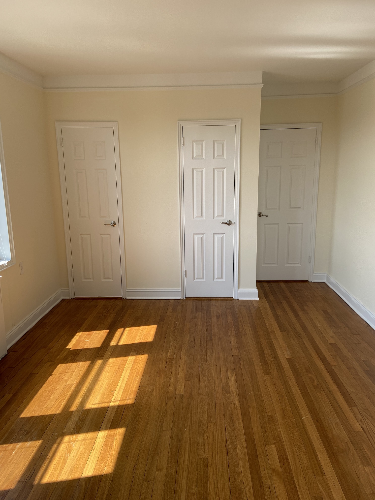 Apartment Wexford Terrace  Queens, NY 11432, MLS-RD4247-3