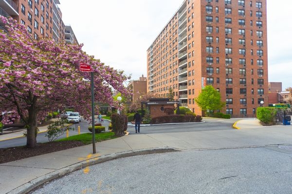 Apartment 62nd Road  Queens, NY 11375, MLS-RD4590-5