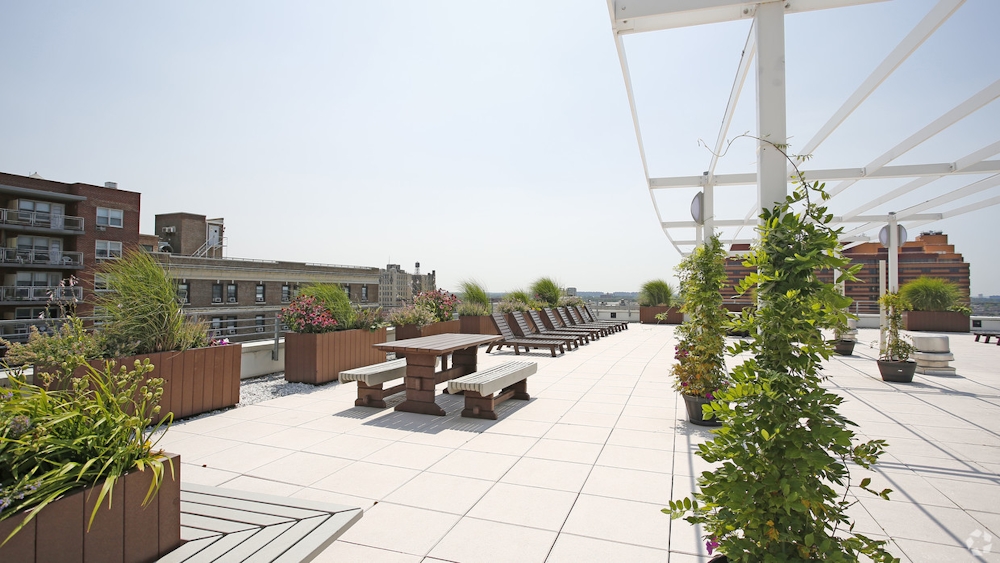 Apartment 89th Avenue  Queens, NY 11432, MLS-RD5055-13
