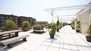 Apartment 89th Avenue  Queens, NY 11432, MLS-RD5055-14