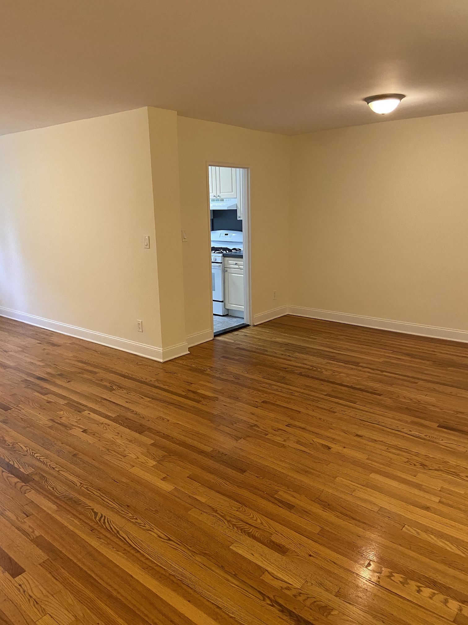 Apartment 150th Street  Queens, NY 11367, MLS-RD5109-2