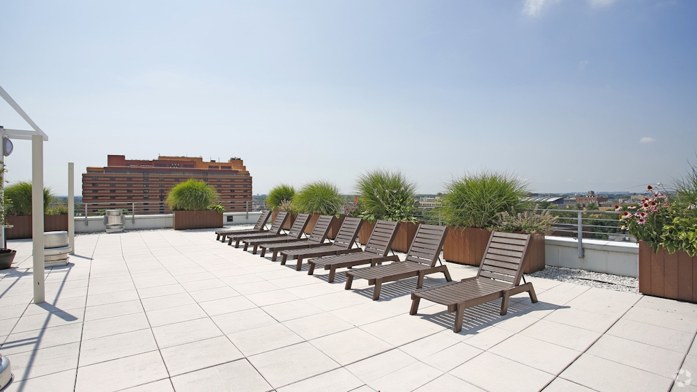 Apartment 89th Avenue  Queens, NY 11432, MLS-RD5173-12