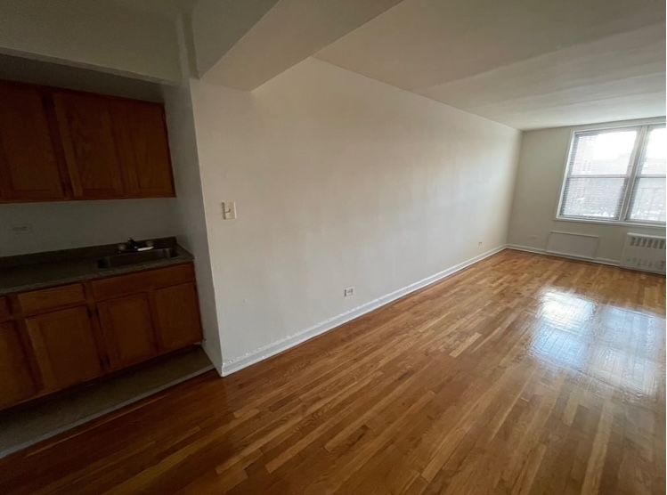 Apartment Hoover Avenue  Queens, NY 11435, MLS-RD5223-5