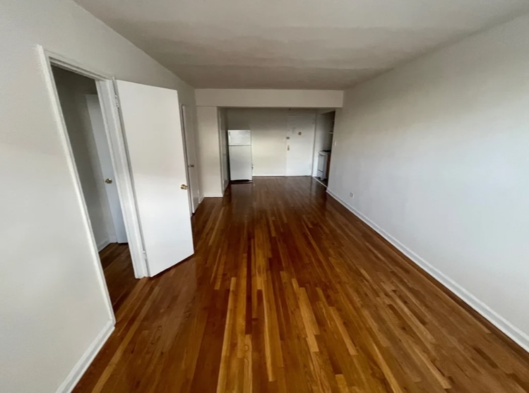 Apartment Hoover Avenue  Queens, NY 11435, MLS-RD5223-14