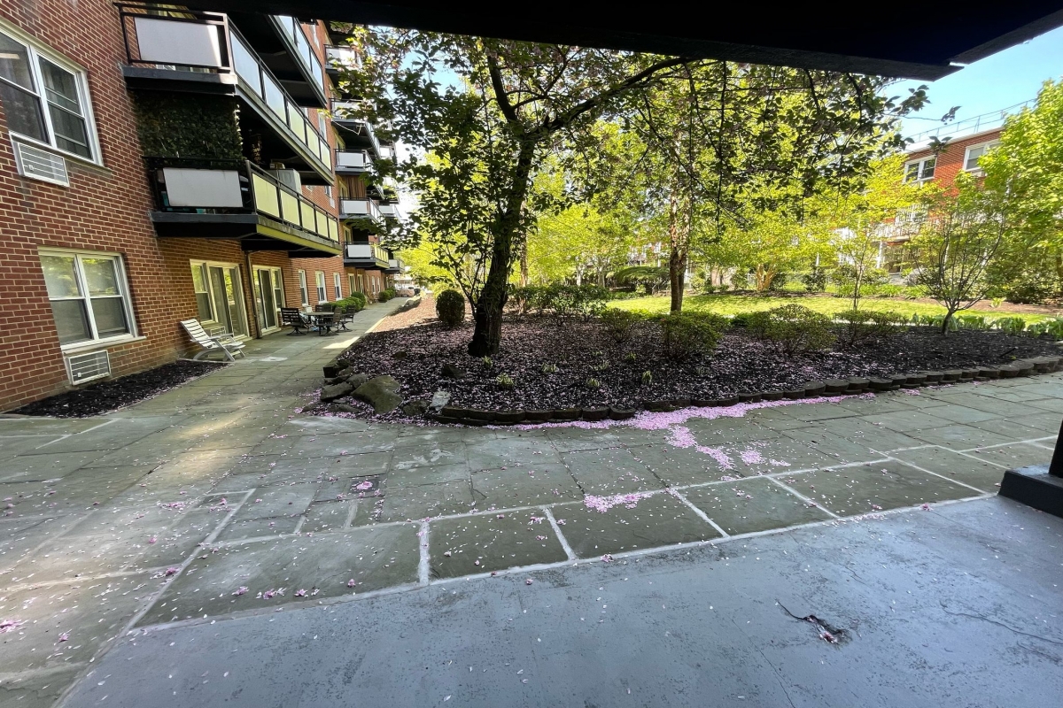 Apartment Bell Blvd  Queens, NY 11360, MLS-RD5317-9