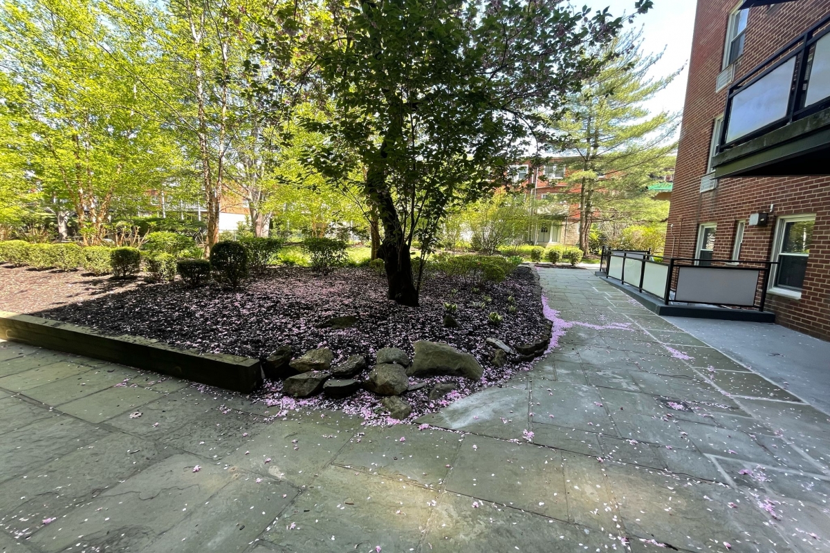 Apartment Bell Blvd  Queens, NY 11360, MLS-RD5317-11