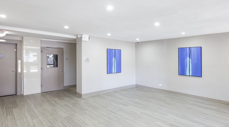 Apartment 38th Street  Long Island, NY 11101, MLS-RD5384-7