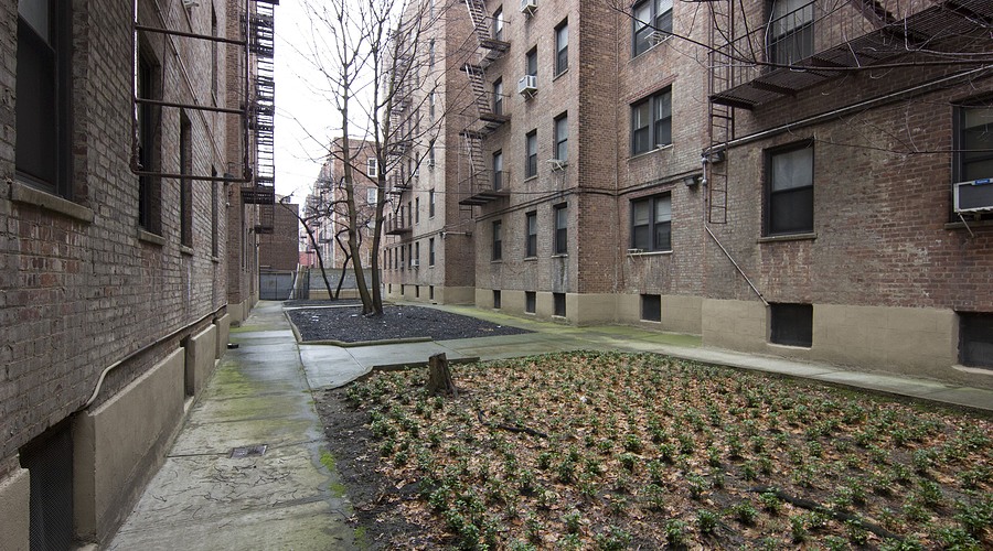 Apartment 43rd Street  Queens, NY 11104, MLS-RD5474-11