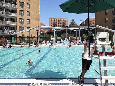 Apartment Horace Harding Expwy  Queens, NY 11368, MLS-RD5484-5