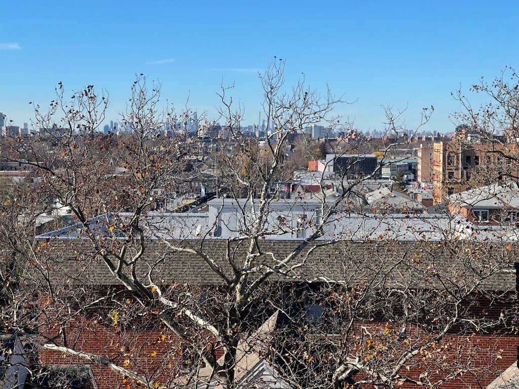 Apartment 167th Street  Queens, NY 11358, MLS-RD5520-13