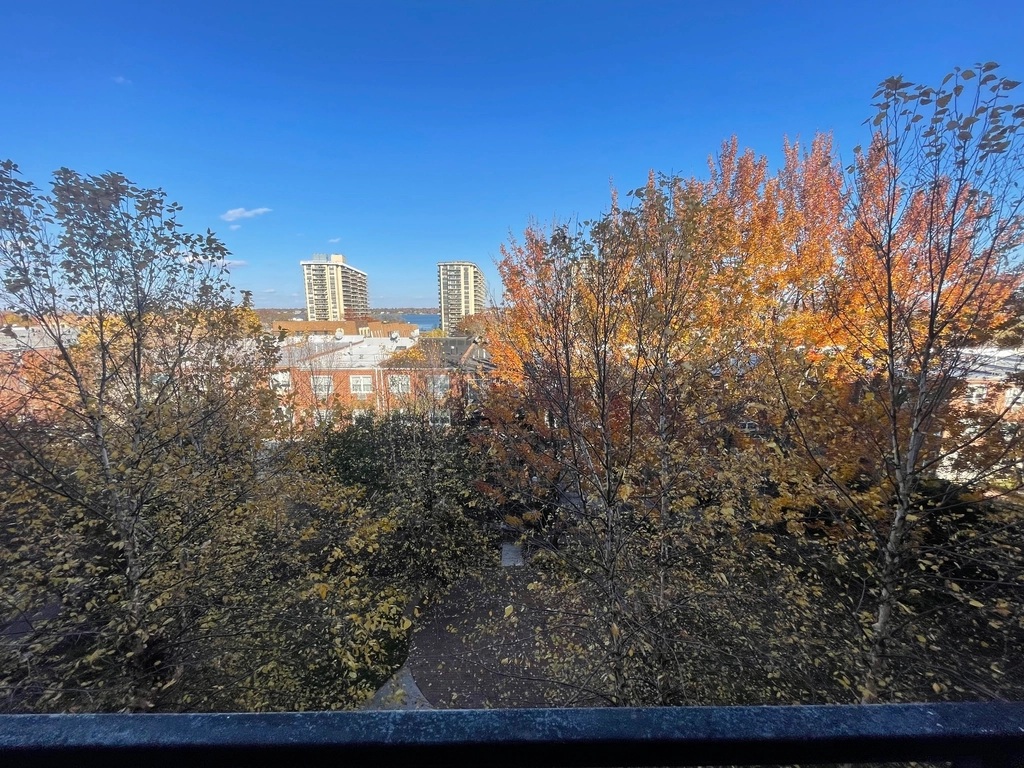 Apartment Bell Blvd  Queens, NY 11360, MLS-RD5551-18