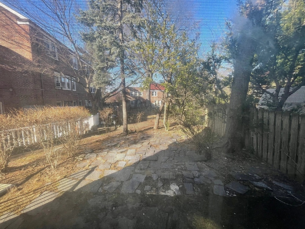Apartment Village Road  Queens, NY 11435, MLS-RD5733-2