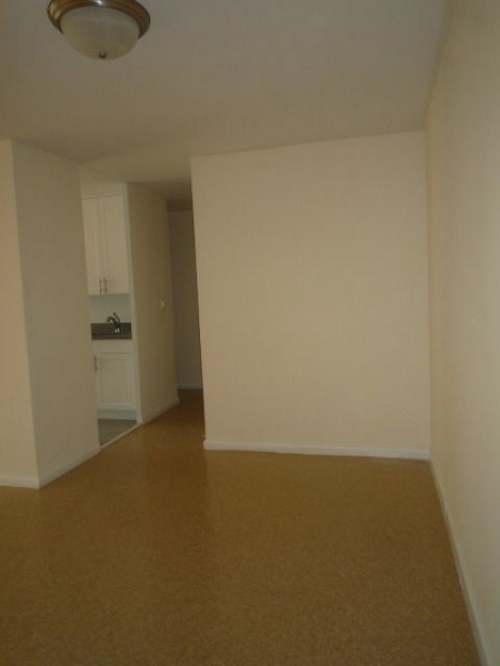 Apartment Horace Harding Expressway  Queens, NY 11368, MLS-RD1130-2