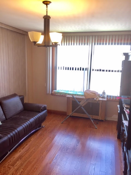 Apartment 64th Road  Queens, NY 11374, MLS-RD1162-9