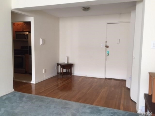Coop Thornton Place  Queens, NY 11374, MLS-RD1384-5