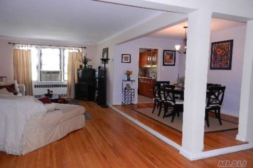 Coop Hoover Ave  Queens, NY 11435, MLS-RD259-2