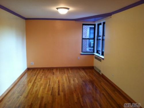 Coop 66th Ave  Queens, NY 11374, MLS-RD428-8